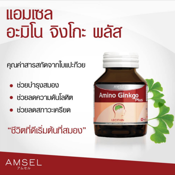 อาหารเสริมบำรุงสมอง Amsel Amino Ginko+Lecithin
