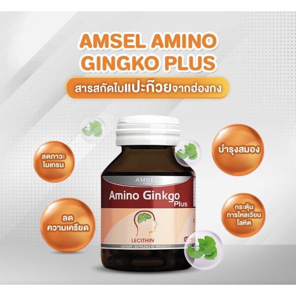 อาหารเสริมบำรุงสมอง Amsel Amino Ginko+Lecithin