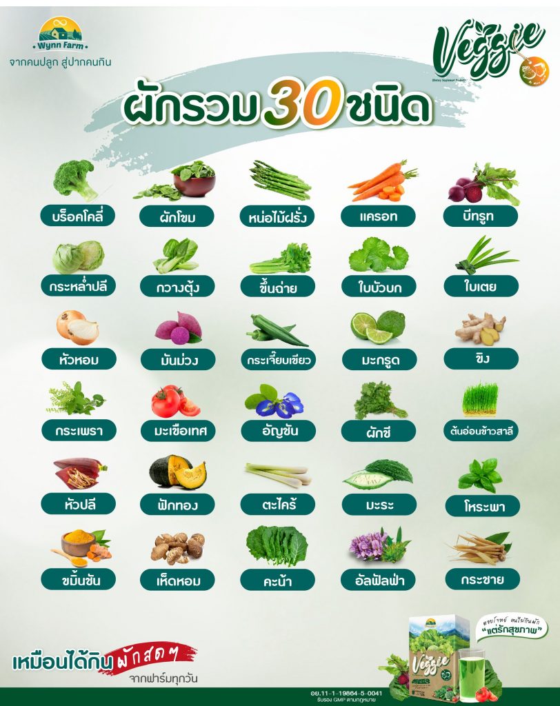 ผงผักชงดื่ม รวมผัก30ชนิด Wynn Farm Veggie