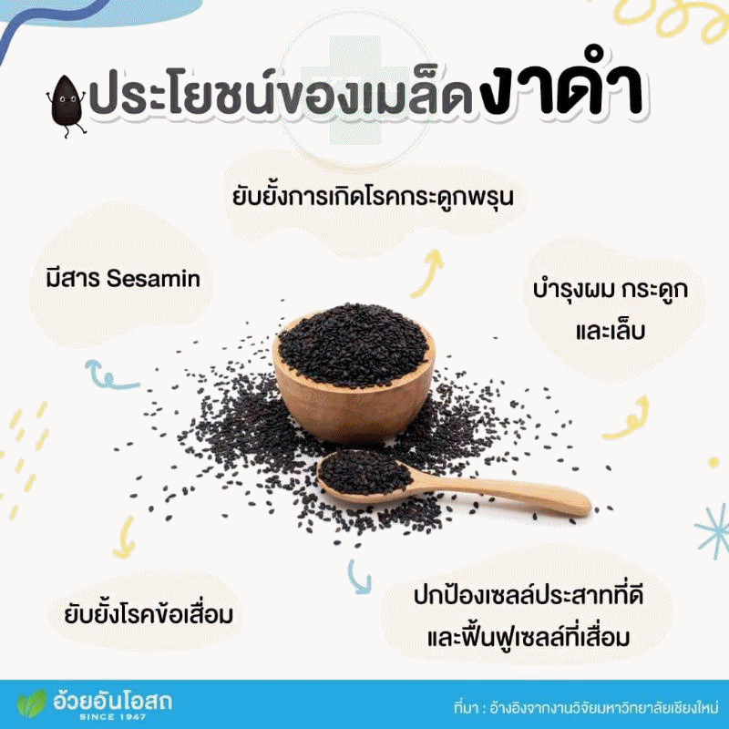 อาหารเสริมบำรุงกระดูก ข้อเข่าเสื่อม Herbal One Sesamine