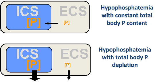 ฟอสฟอรัส