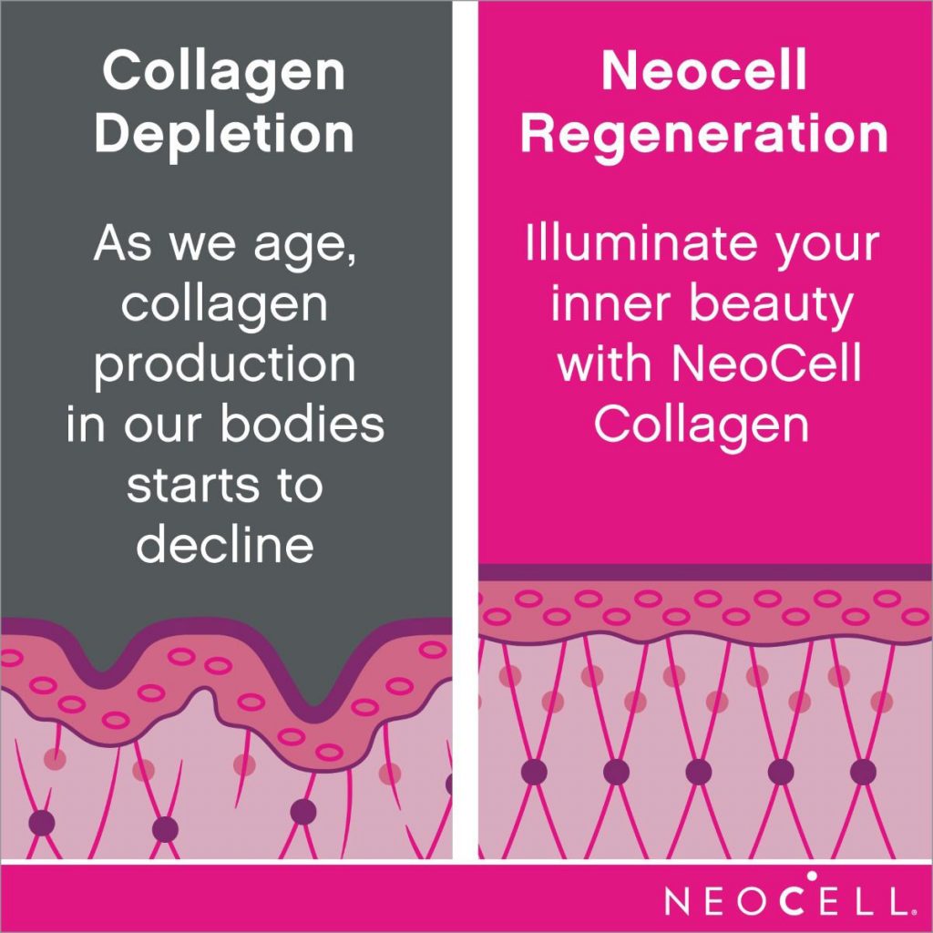 คอลลาเจนลดริ้วรอย ชนิดผง Neocell Super Collagen Powder