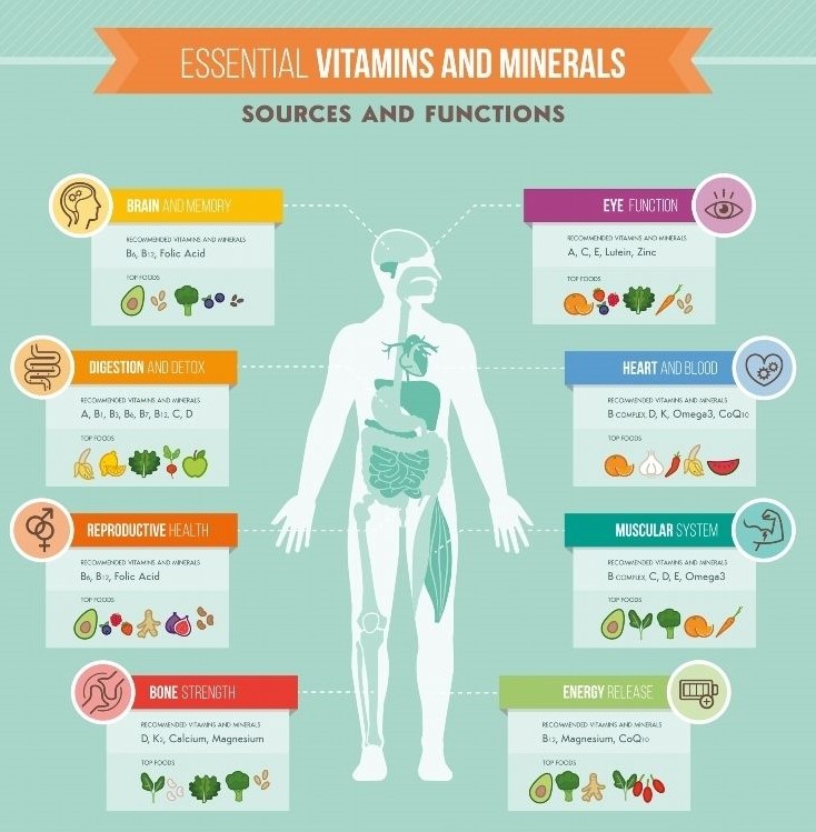 วิตามินรวม บำรุงร่างกาย