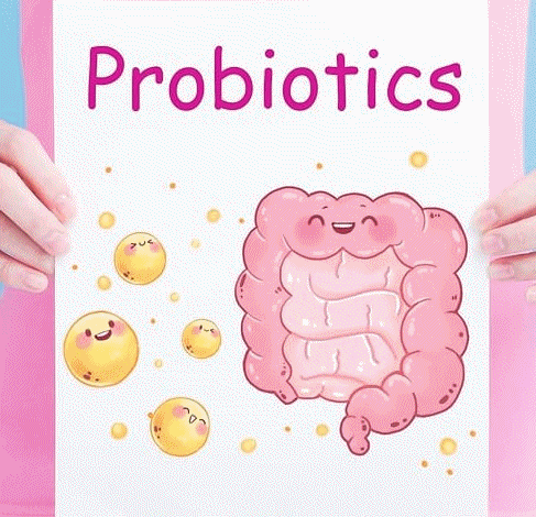 สมดุลลำไส้ กุญแจสำคัญสุขภาพดี