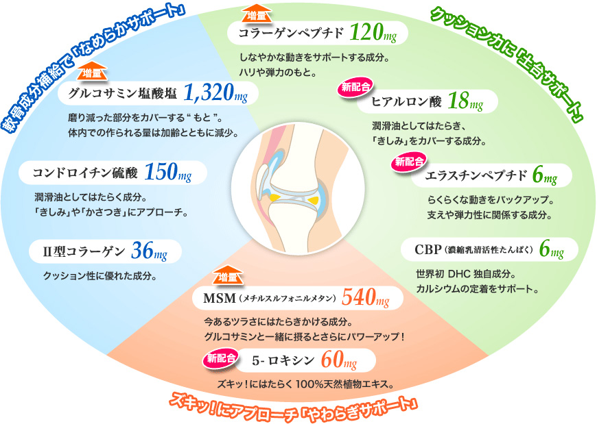 วิตามินบำรุงข้อต่อ DHC Super Rakuraku Vitamin 20 Days