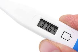 ปรอทวัดไข้