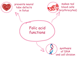 Folic acid