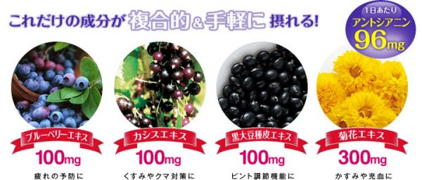 วิตามินบำรุงสายตา DHC 20วัน Supplement Blueberry