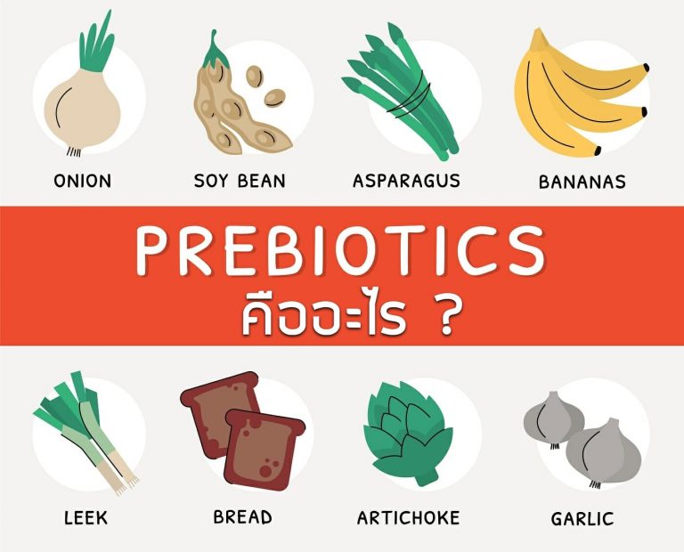 พรีไบโอติก คือ