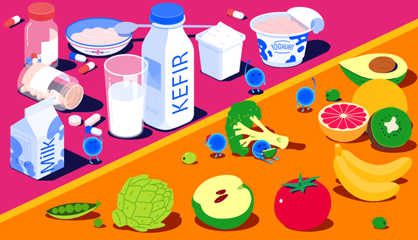 พรีไบโอติก คือ