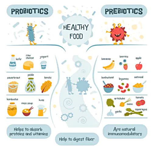 พรีไบโอติก คือ
