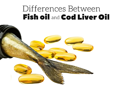 น้ำมันปลา กับ น้ำมันตับปลา