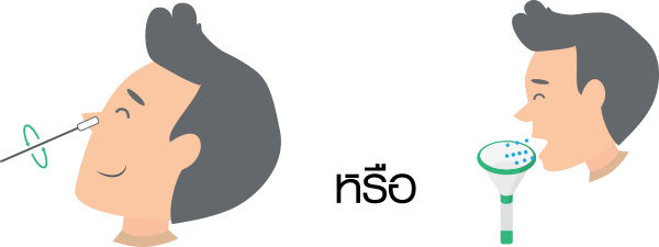 เลือกซื้อชุดตรวจ ATK