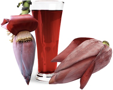 น้ำหัวปลี มีสรรพคุณช่วยบำรุงน้ำนมแม่ได้จริงหรือ ?