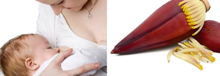 น้ำหัวปลี มีสรรพคุณช่วยบำรุงน้ำนมแม่ได้จริงหรือ ?