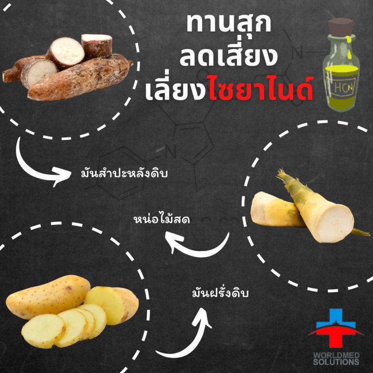 ทานสุก ลดเสี่ยง เลี่ยงไซยาไนด์