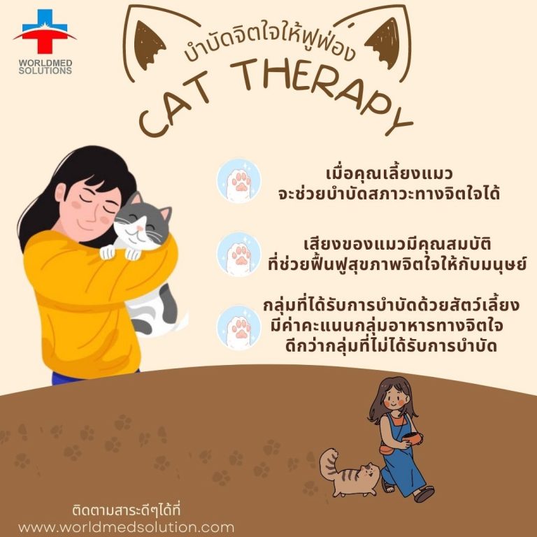 บำบัดจิตใจให้ฟูฟ่อง ด้วย Cat therapy (แมวบำบัด)