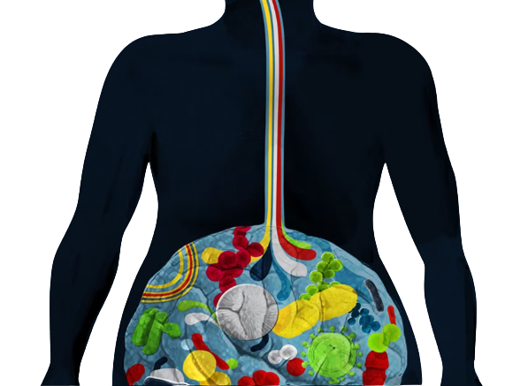 กลุ่มโรคติดต่อทางน้ำและอาหาร
