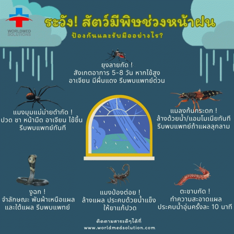 ระวัง! สัตว์มีพิษช่วงหน้าฝน