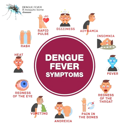 5 สัญญาณเตือนอันตรายของไข้เลือดออก