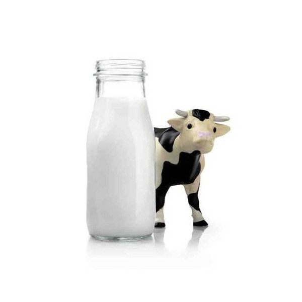 นมวัวมีประโยชน์อย่างไร