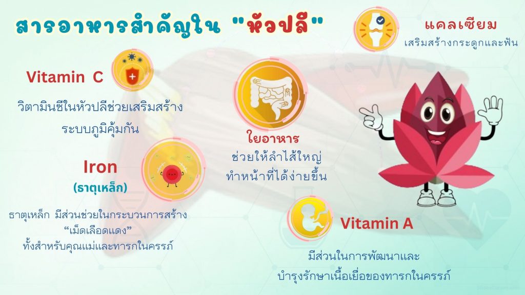 ไขความลับ สารอาหารในน้ำหัวปลี